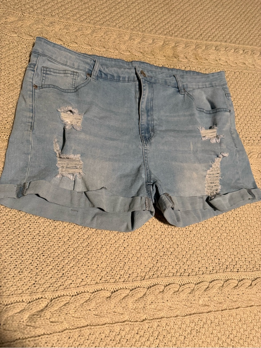Light Blue Distressed Denim Shorts - Women Size 2XL